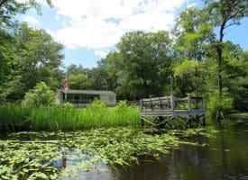 SOLD!! 65 Acres of Hunting and Residential Land For Sale in Horry County SC!