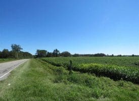 SOLD!!  97 Acres of Farm and Timber Land For Sale in Columbus County NC!