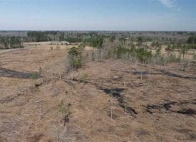 SOLD!!  29 Acres of Hunting and Timber Land For Sale in Robeson County NC!