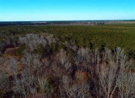 SOLD!!  2.45 Acres of Residential Land For Sale in Pender County NC!