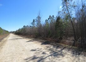 SOLD!!  50 Acres of Farm and Timber Land For Sale in Cumberland County NC!