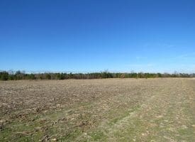 SOLD!!  70 Acres of Farm and Timber Land For Sale in Hoke County NC!