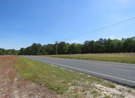 SOLD!!  91 Acres of Farm and Timber Land For Sale in Robeson County NC!