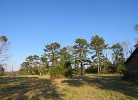 SOLD!!  106 Acres of Residential Farm and Timber Land For Sale in Sampson County NC!