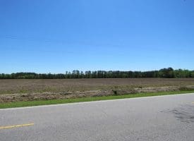 SOLD!! 76 Acres of Farm and Timber Land For Sale in Robeson County NC!