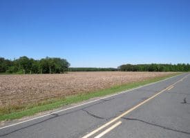 SOLD!! 380 Acres of Farm and Timber Land For Sale in Robeson and Hoke Counties!