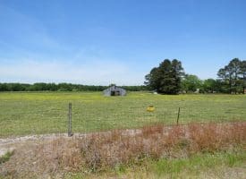 SOLD!!  113 Acres of Farm and Timber Land For Sale in Robeson County NC!