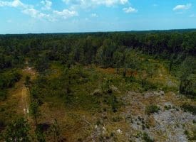 SOLD!! 7 Acres of Residential and Hunting Land For Sale in Brunswick County NC!