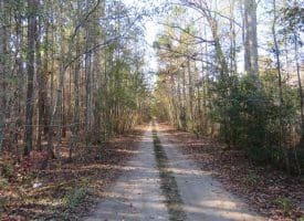 SOLD!! 131 Acres of Hunting and Timber Land For Sale in Robeson County NC!