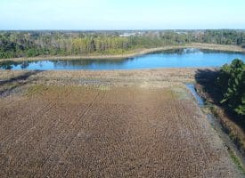 SOLD!  112 Acres of Farm and Recreational Land For Sale in Robeson County NC!