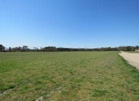 SOLD!!  58 Acres of Farm and Timber Land For Sale in Robeson County NC!
