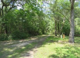 SOLD!! 65 Acres of Hunting and Residential Land For Sale in Horry County SC!