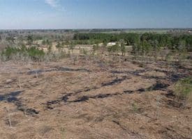 SOLD!!  29 Acres of Hunting and Timber Land For Sale in Robeson County NC!