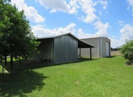 SOLD!!  23 Ac of Farm and Timber Land with Home and Outbuildings in Robeson Co NC!