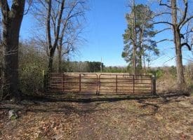 SOLD!!  110 Acres of Farm and Timber Land For Sale in Columbus County NC!