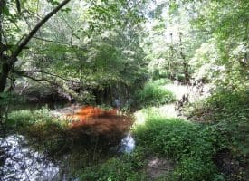 SOLD!  29 Acres of Hunting and Farm Land For Sale in Duplin County NC!