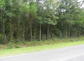 SOLD!!  4 Acres of Residential Land For Sale in Bladen County NC!