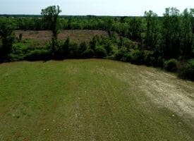 SOLD!!  20 Acres of Farm and Hunting Land For Sale in Robeson County NC!