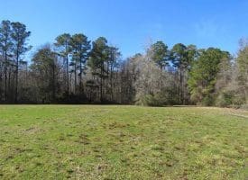 SOLD!!  110 Acres of Farm and Timber Land For Sale in Columbus County NC!