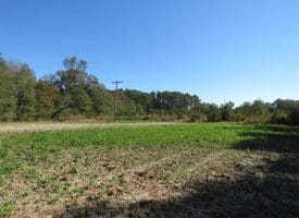 SOLD!!  58 Acres of Farm and Timber Land For Sale in Scotland County NC!