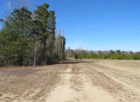 SOLD!!  110 Acres of Farm and Timber Land For Sale in Columbus County NC!