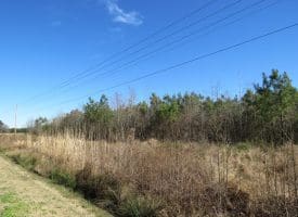 SOLD!!  50 Acres of Farm and Timber Land For Sale in Cumberland County NC!