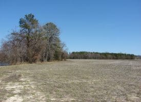 SOLD!!  50 Acres of Farm and Timber Land For Sale in Robeson County NC!