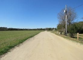 SOLD!!  58 Acres of Farm and Timber Land For Sale in Robeson County NC!