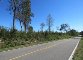 SOLD!!  23 Acres of Hunting Land For Sale in Brunswick County NC!
