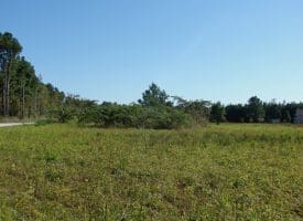 SOLD!!  3.36 Acre Lot For Sale in Columbus County NC!