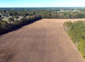 SOLD!!  18 Acres of Farm and Timber Land For Sale in Robeson County NC!