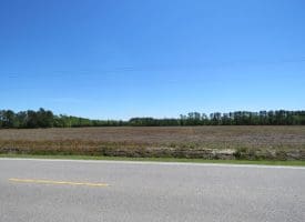 SOLD!! 76 Acres of Farm and Timber Land For Sale in Robeson County NC!
