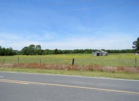 SOLD!!  113 Acres of Farm and Timber Land For Sale in Robeson County NC!