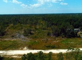 SOLD!! 7 Acres of Residential and Hunting Land For Sale in Brunswick County NC!