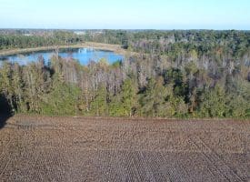 SOLD!  112 Acres of Farm and Recreational Land For Sale in Robeson County NC!