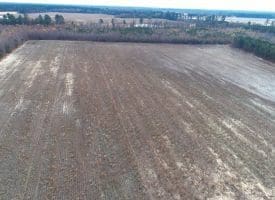 SOLD!!  113 Acres of Timber and Farm Land For Sale in Hoke County NC!