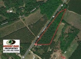 SOLD!!  5 Acres of Residential and Timber Land For Sale in Hoke County NC!