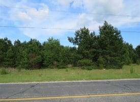 SOLD!!  44 Acres of Residential Land in Robeson County NC!