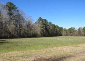 SOLD!!  110 Acres of Farm and Timber Land For Sale in Columbus County NC!