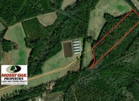 SOLD!!  18 Acres of  Timber and Hunting Land For Sale in Columbus County NC!