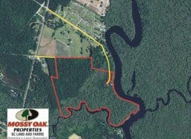 SOLD!! 65 Acres of Hunting and Residential Land For Sale in Horry County SC!