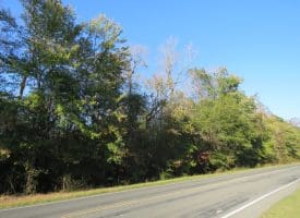 SOLD!!  122 Acres of Duck Hunting Land For Sale in Robeson County NC!