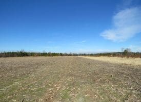 SOLD!!  70 Acres of Farm and Timber Land For Sale in Hoke County NC!
