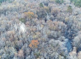 SOLD!!  139 Acres of Timber and Hunting Land For Sale in Hoke County NC!