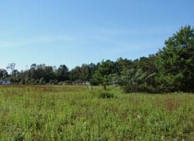 SOLD!!  3.36 Acre Lot For Sale in Columbus County NC!