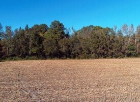 SOLD!!  18 Acres of Farm and Timber Land For Sale in Robeson County NC!