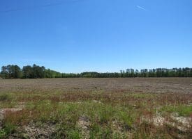 SOLD!! 76 Acres of Farm and Timber Land For Sale in Robeson County NC!