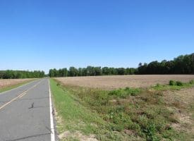 SOLD!! 380 Acres of Farm and Timber Land For Sale in Robeson and Hoke Counties!