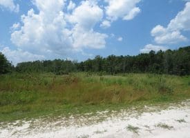 SOLD!! 7 Acres of Residential and Hunting Land For Sale in Brunswick County NC!
