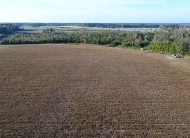 SOLD!  112 Acres of Farm and Recreational Land For Sale in Robeson County NC!